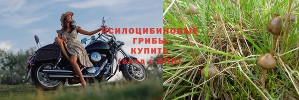 гидропоника Баксан